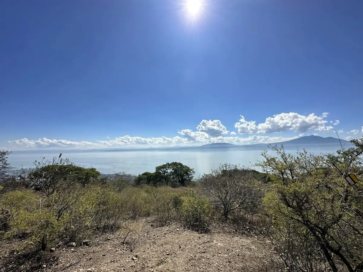 Native landscape with lake view